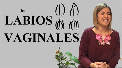 labios vaginales grandes|Labios vaginales grandes o hipertrofia vaginal